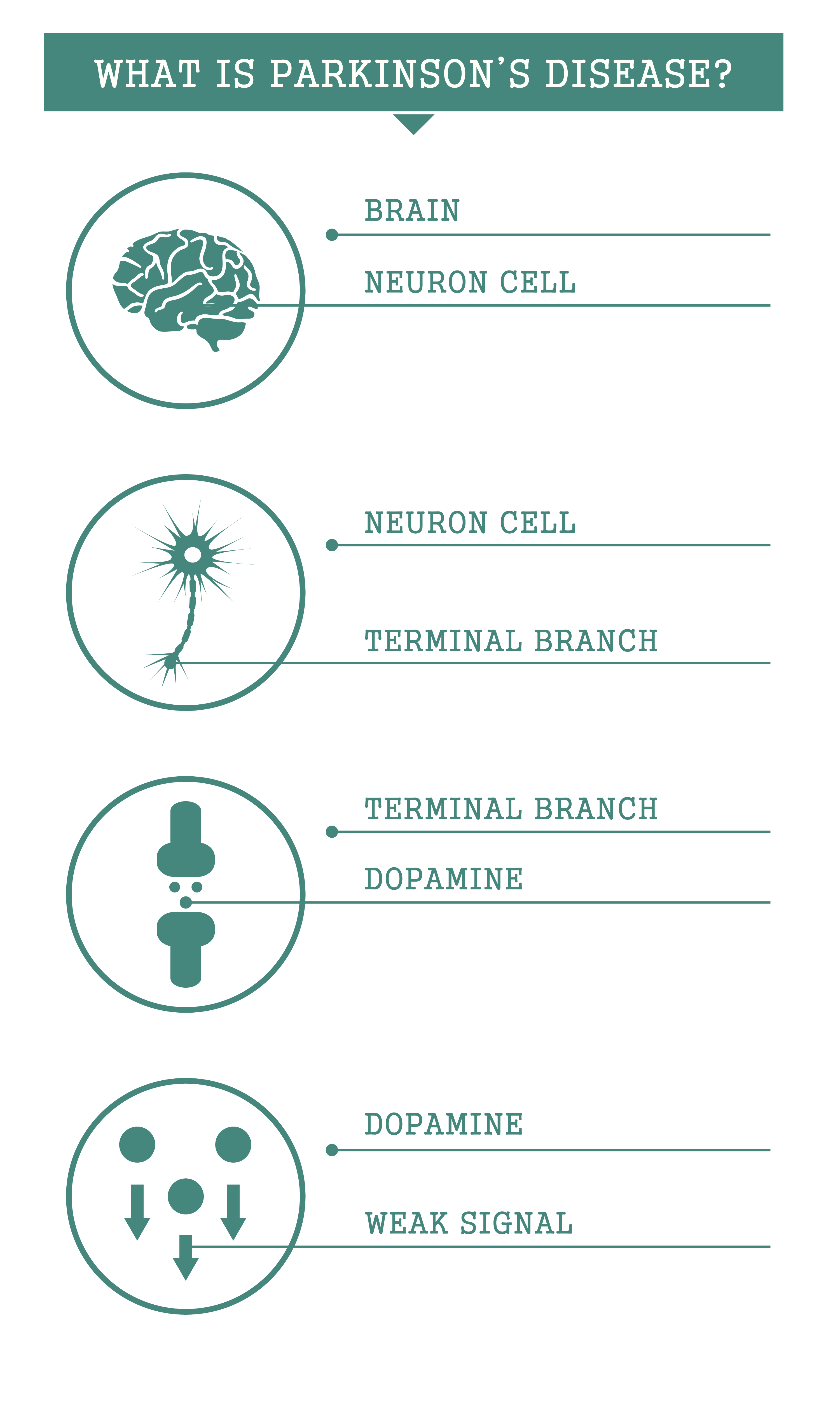 Parkinson's guide