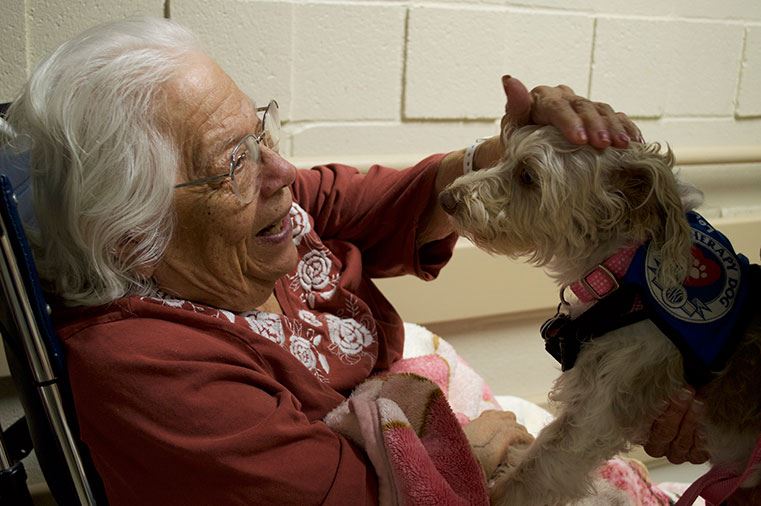 Pet Therapy