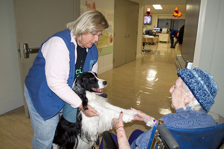 Love on a leash pet therapy cheap
