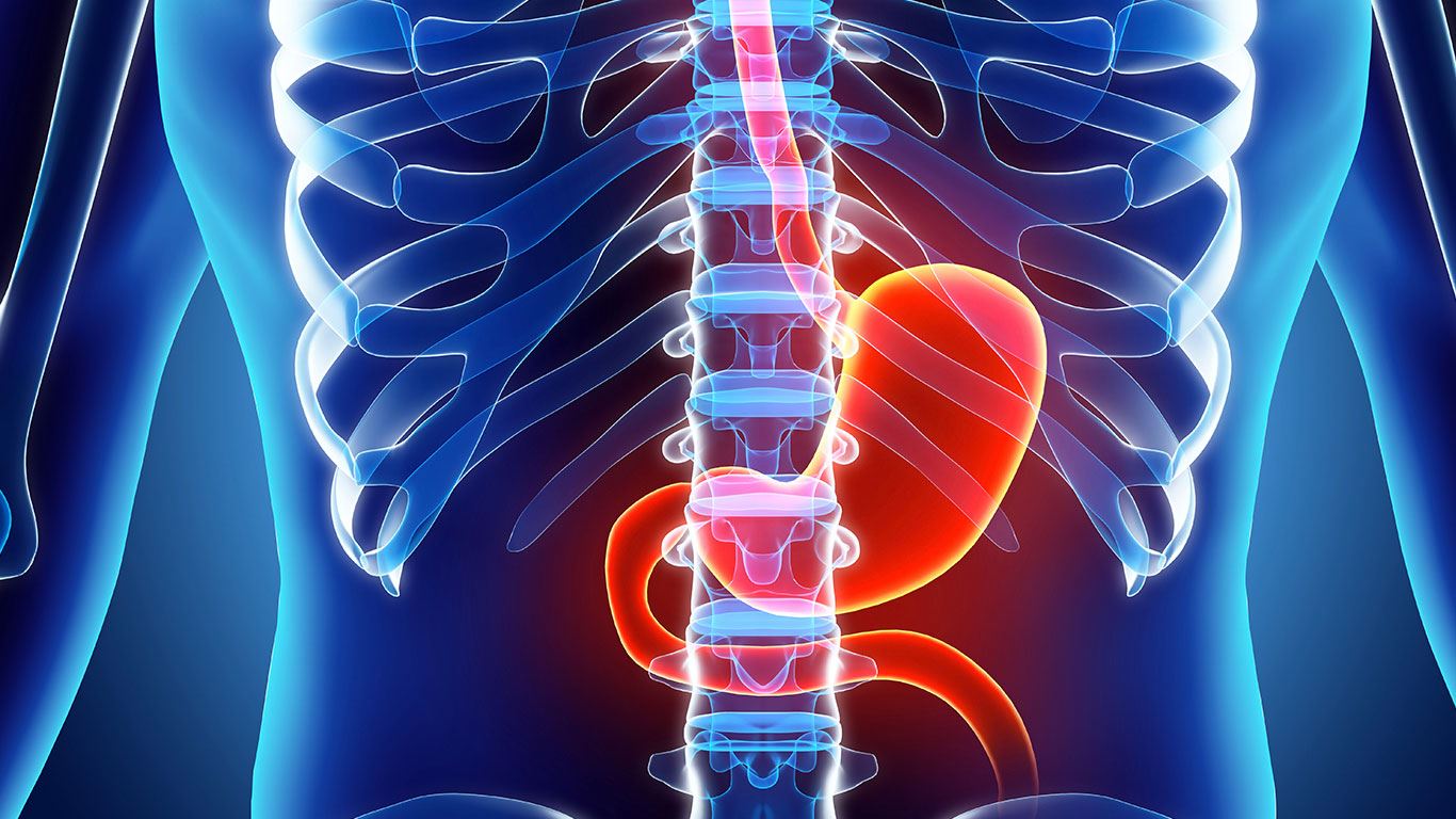 gut health